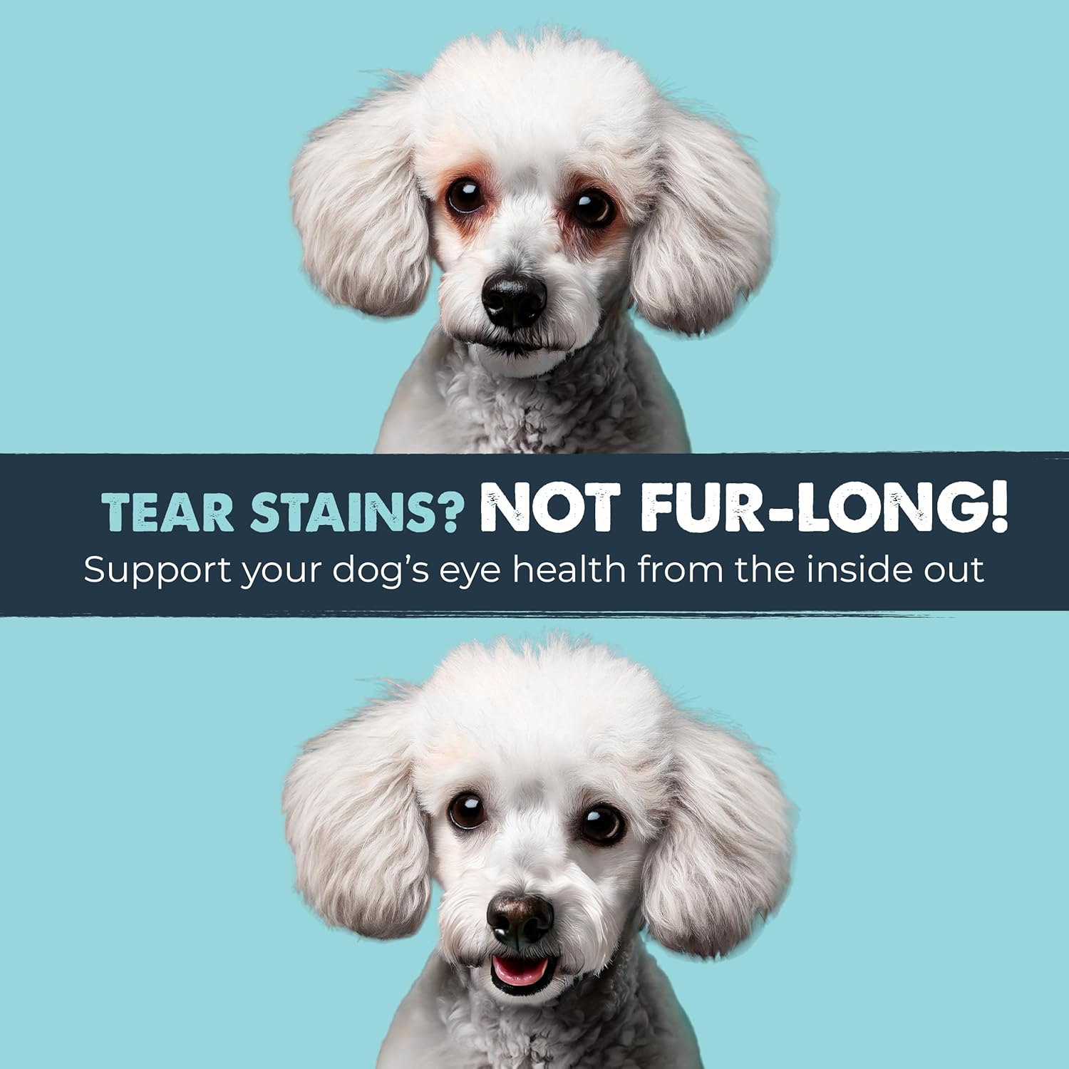 Mighty Eyes Chews for Dogs – Tear Stain and Eye Health Support