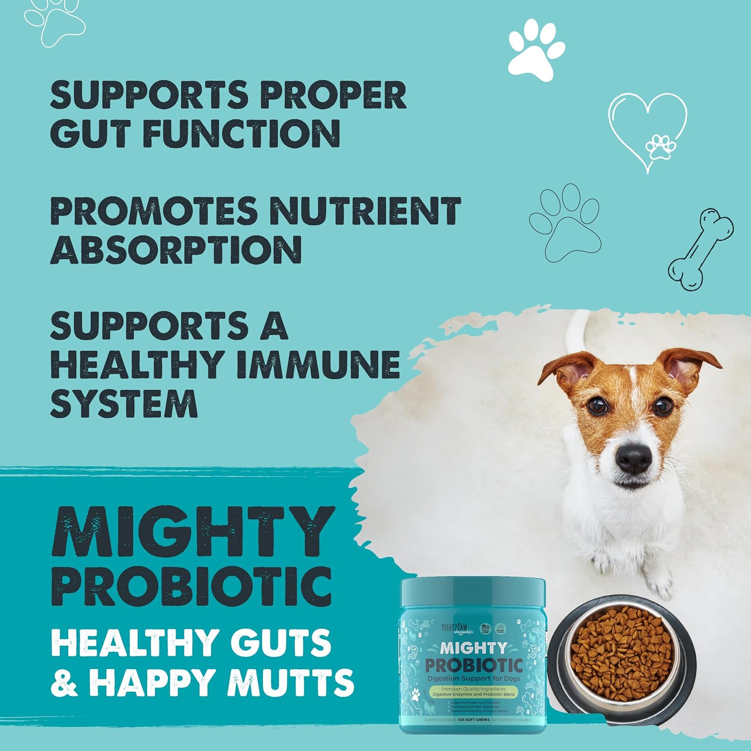 Mighty Probiotic: Digestion Support Supplement