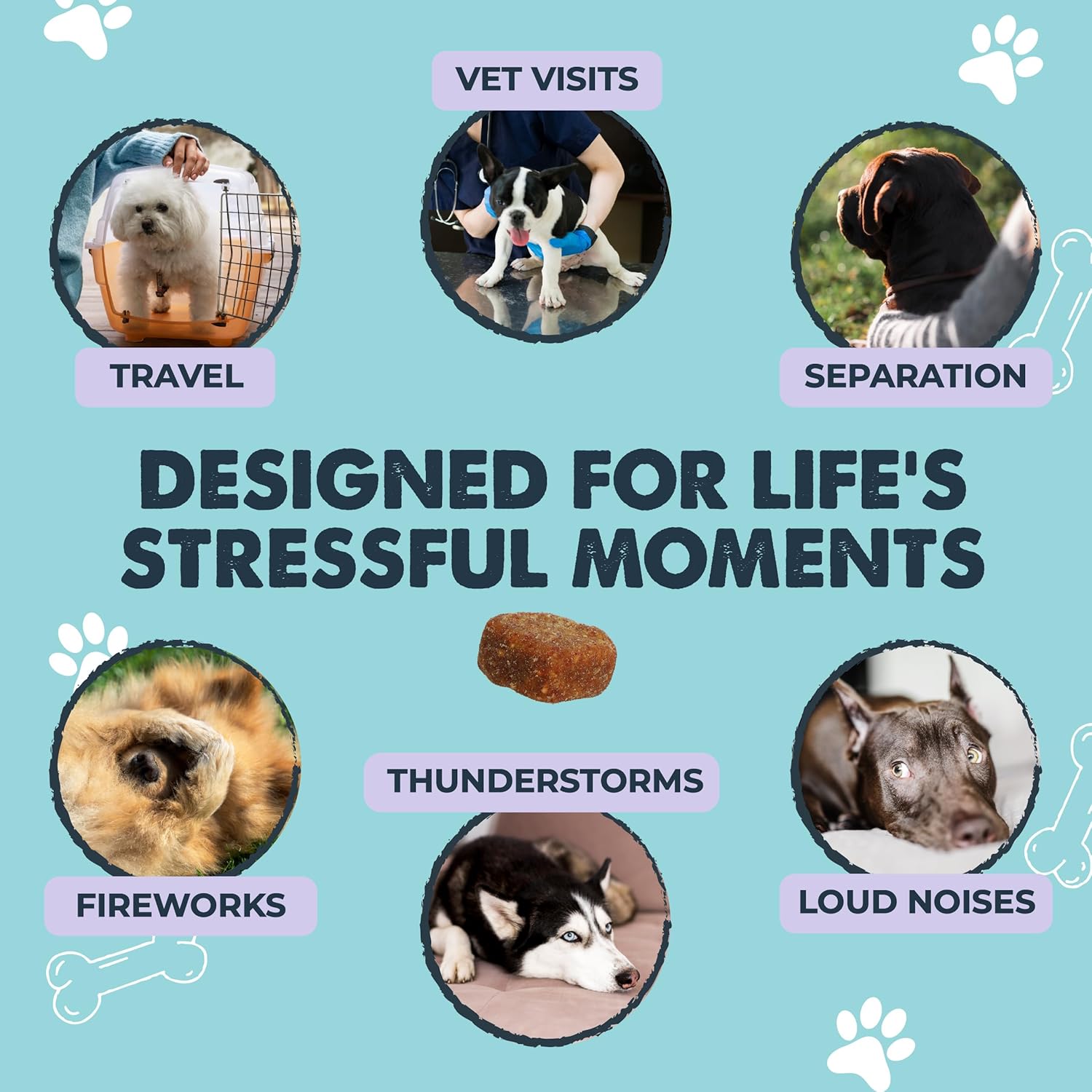 Mighty Calm: Stress and Behavior Supplement for Dogs