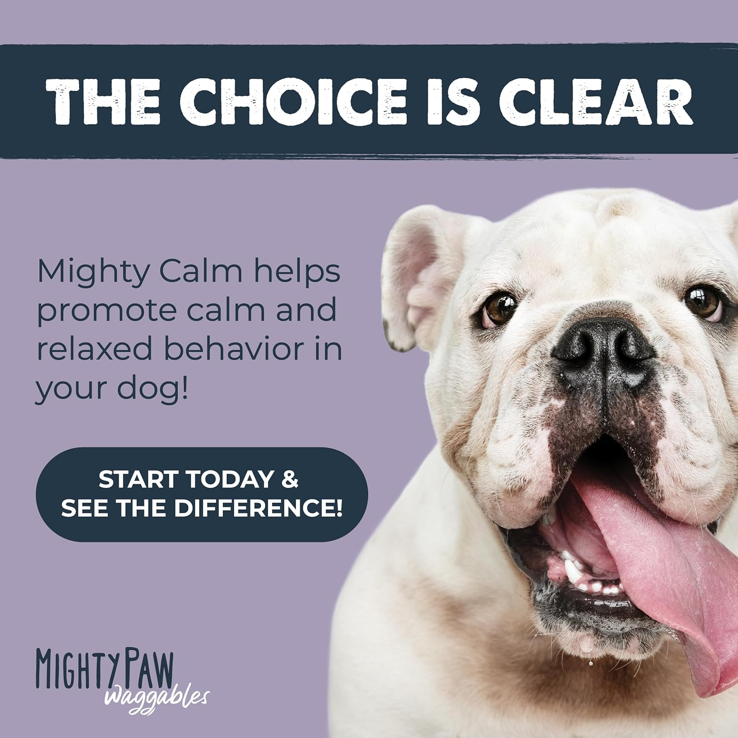 Mighty Calm: Stress and Behavior Supplement for Dogs