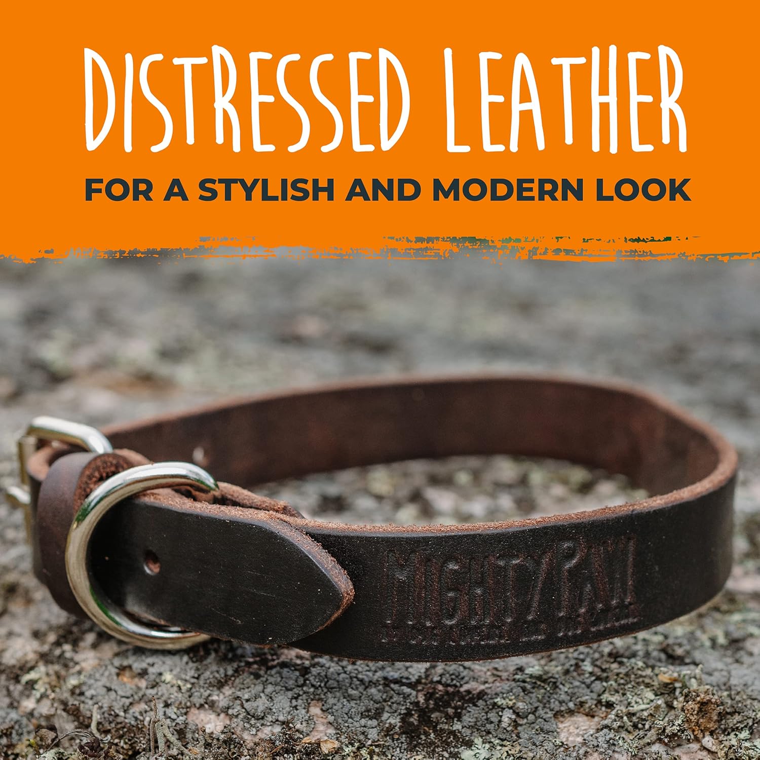 Distressed Leather Collar