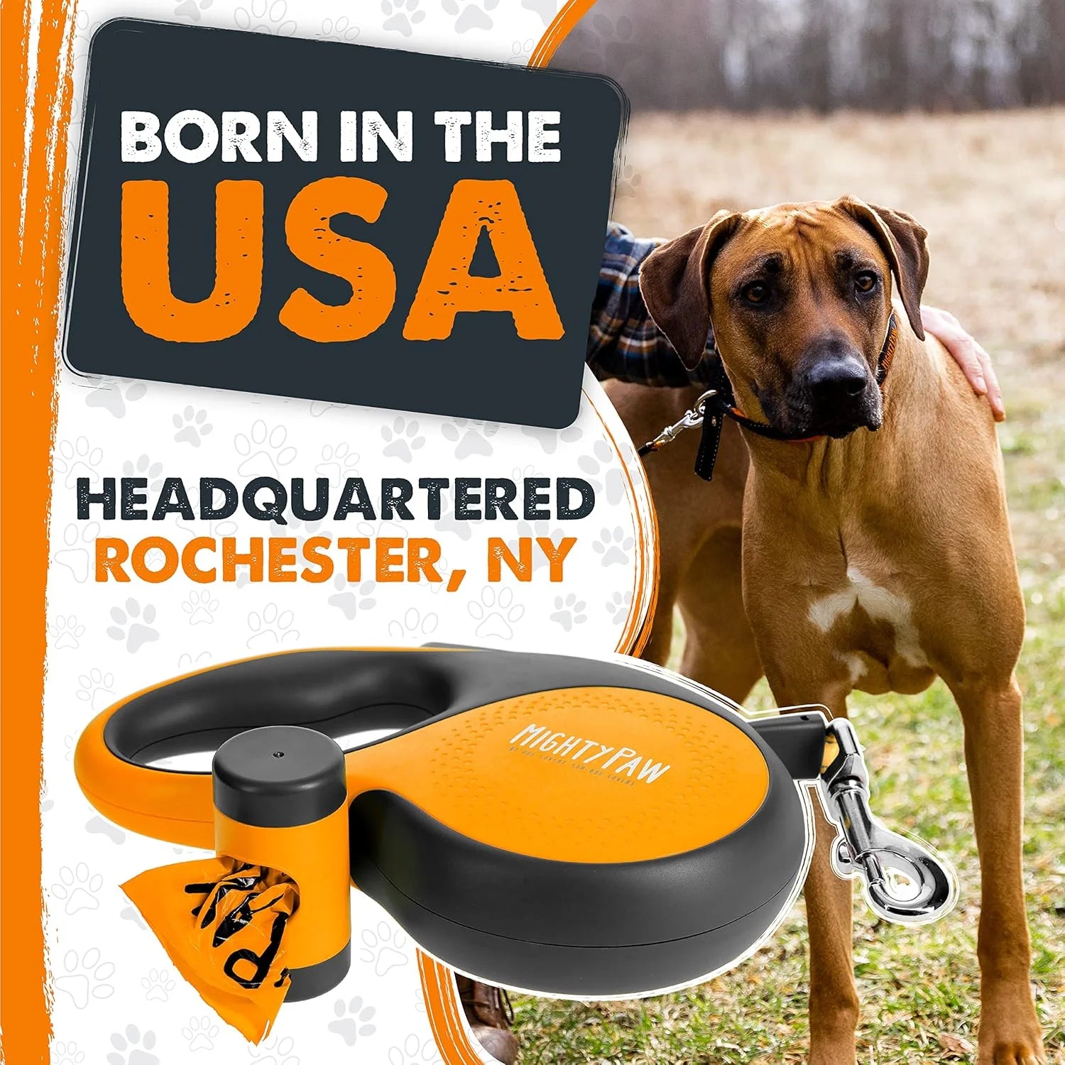 Retractable Leash 3.0 with Poop Bag Holder