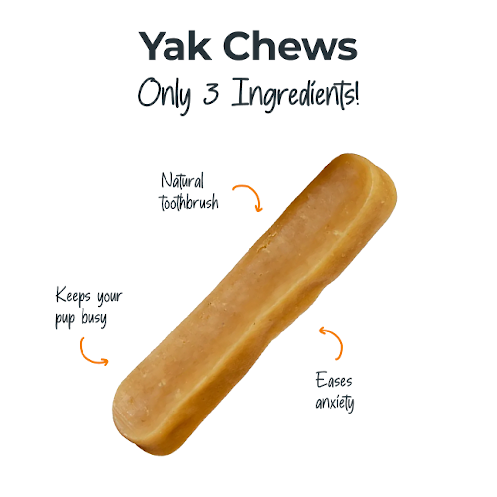 All-N-One Dog Chew Bundle