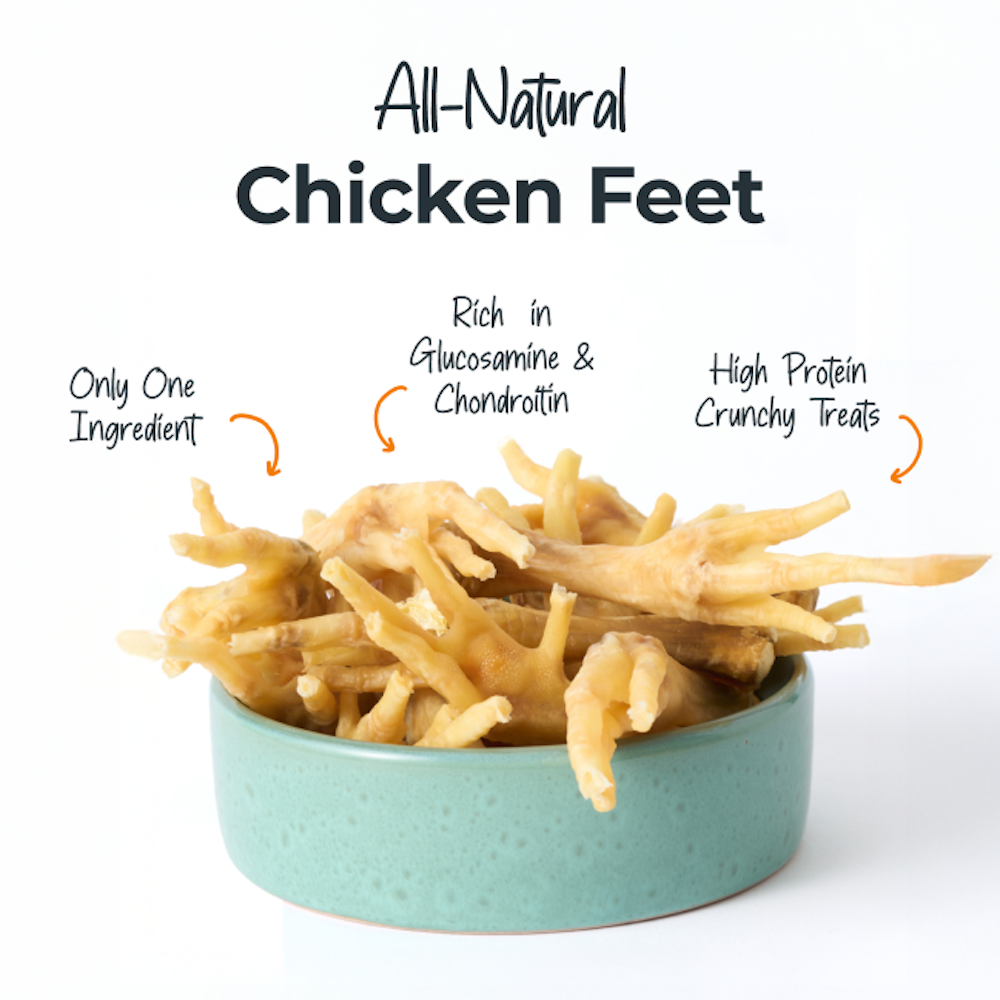 All-N-One Dog Chew Bundle