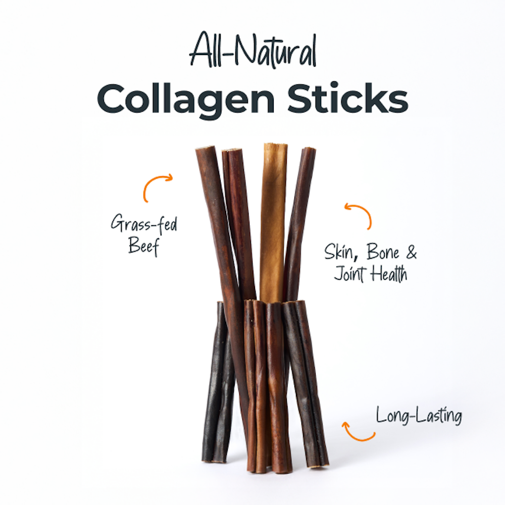 All-N-One Dog Chew Bundle