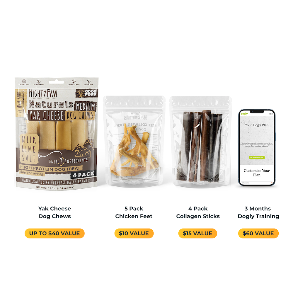 All-N-One Dog Chew Bundle