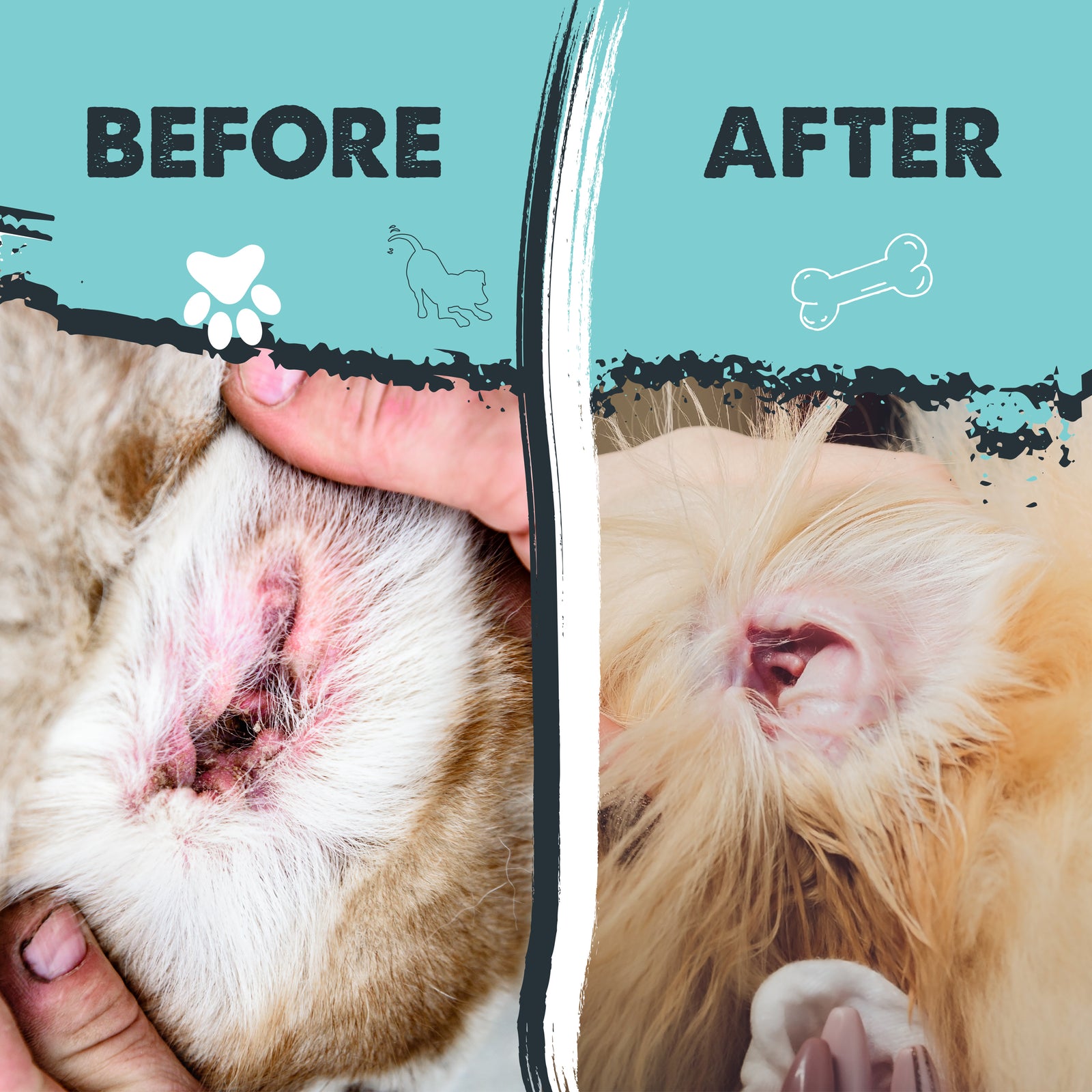 Mighty Ears Ear Wash for Dogs Gentle, Effective, and Soothing