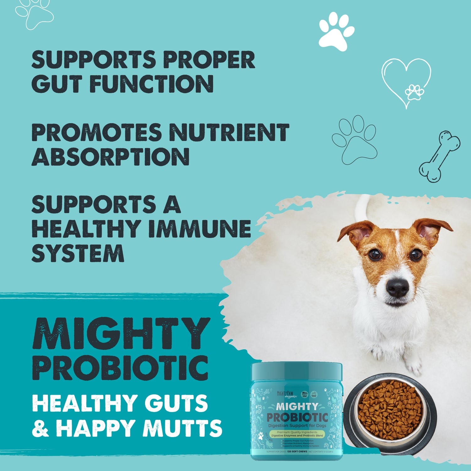 Mighty Paw Probiotic Chews for Dogs BaconFlavored Digestion Support