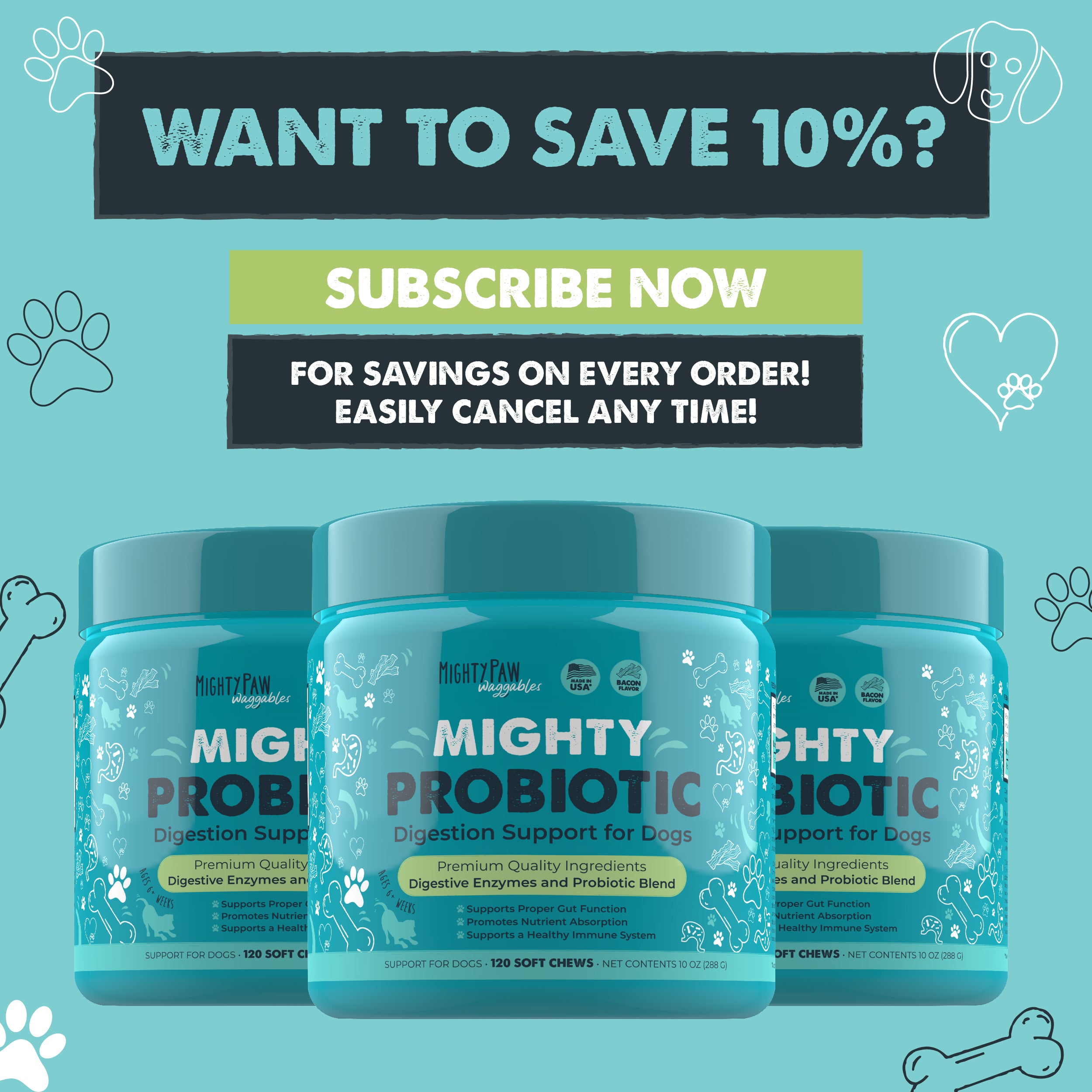 Mighty Probiotic Chews for Dogs | Digestion Support