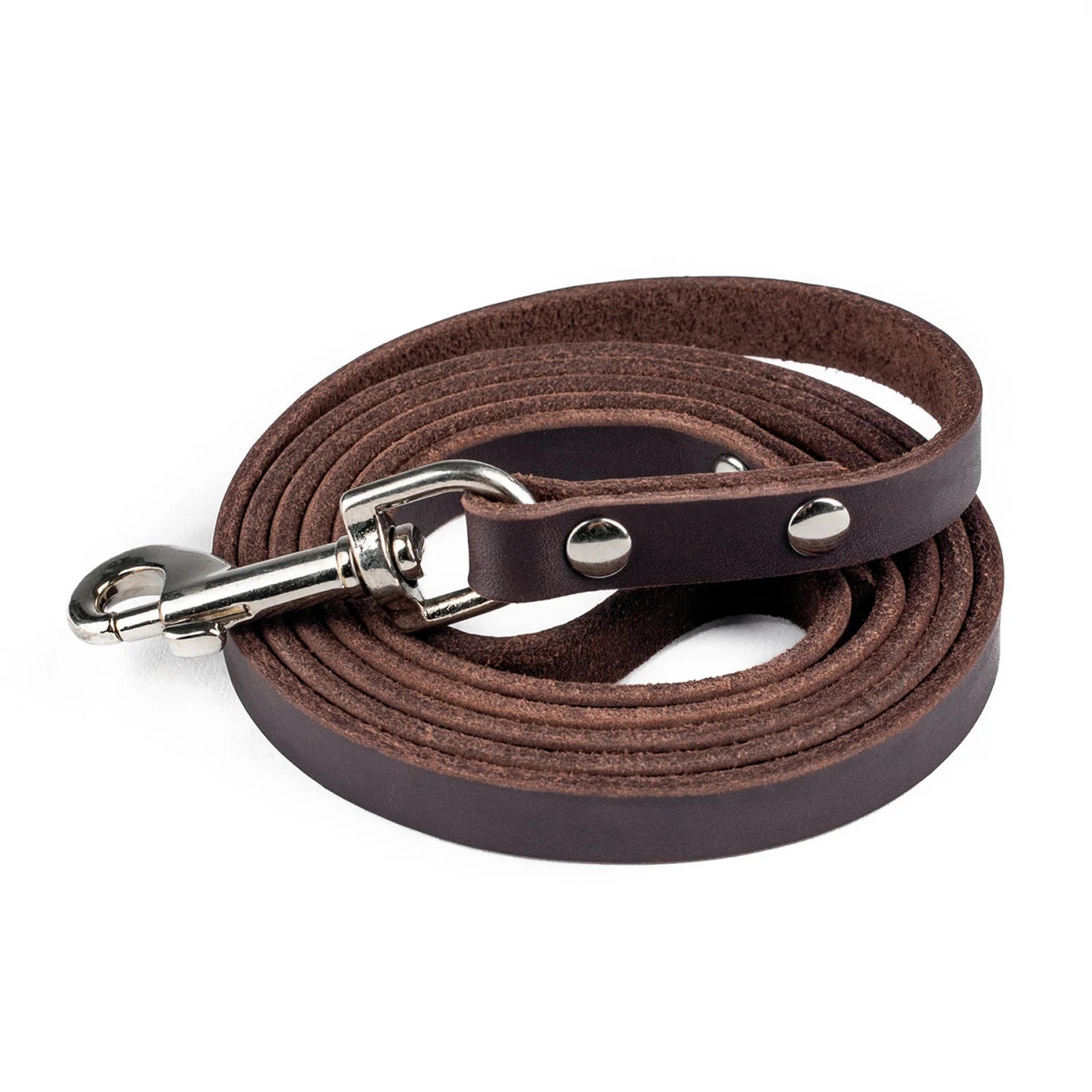 Distressed Leather Leash
