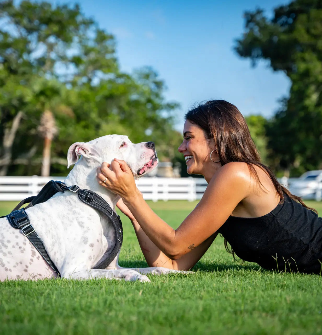 Because time is better spent with your dog