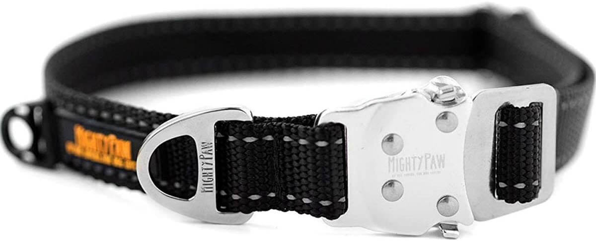 All-Metal Hardware Dog Collar