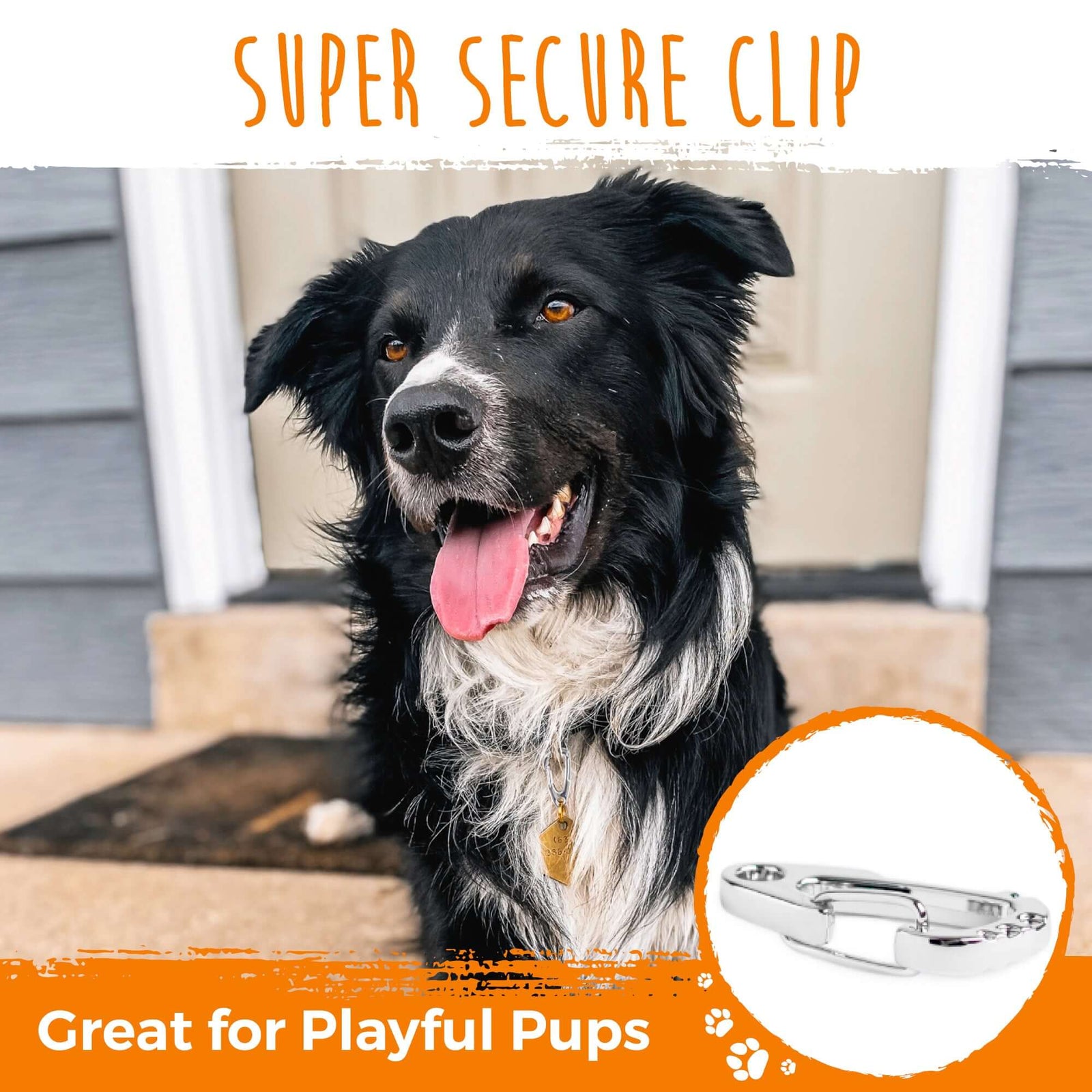 Mighty Paw Dog Tag Carabiner Clips Secure ID Tag Holder for Dogs (3 Pack)