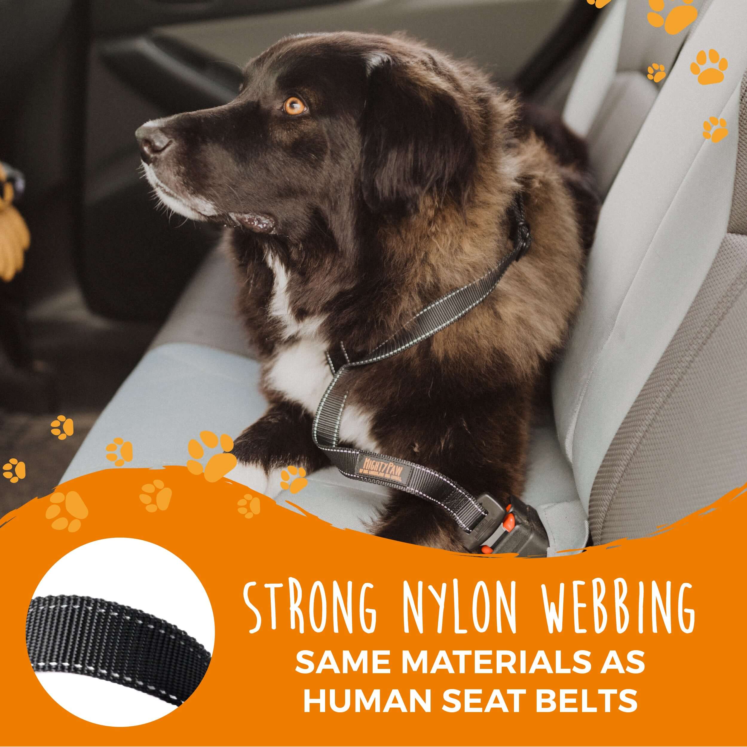 Dog Seat Belt for Buckles - Adjustable Safety Harness for Car Travel