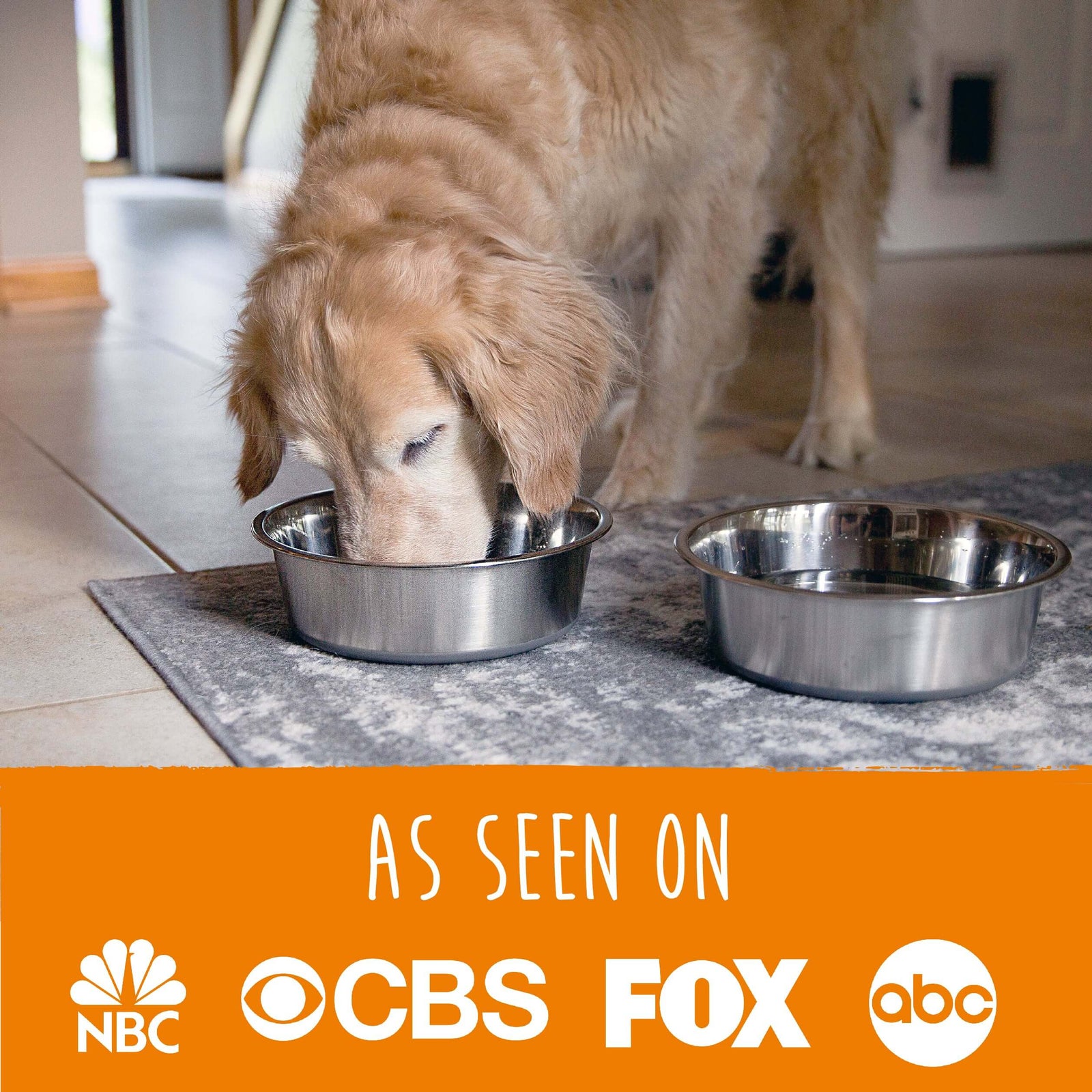 Upgrade Mealtime with Mighty Paw Stainless Steel Dog Bowls (2 Pack)