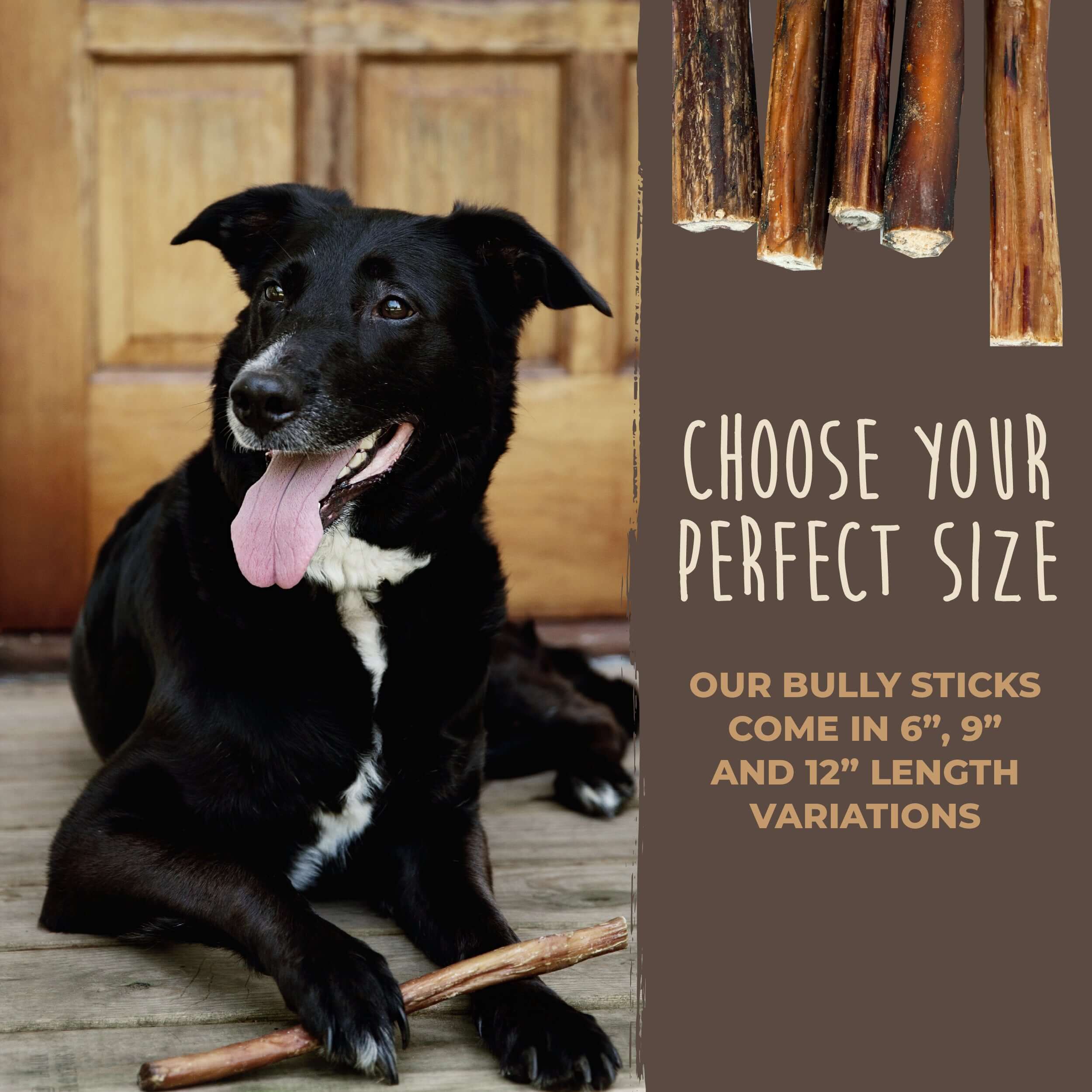 Mighty Paw Naturals Bully Sticks: All-Natural Dog Chews for Healthy Teeth and Gums