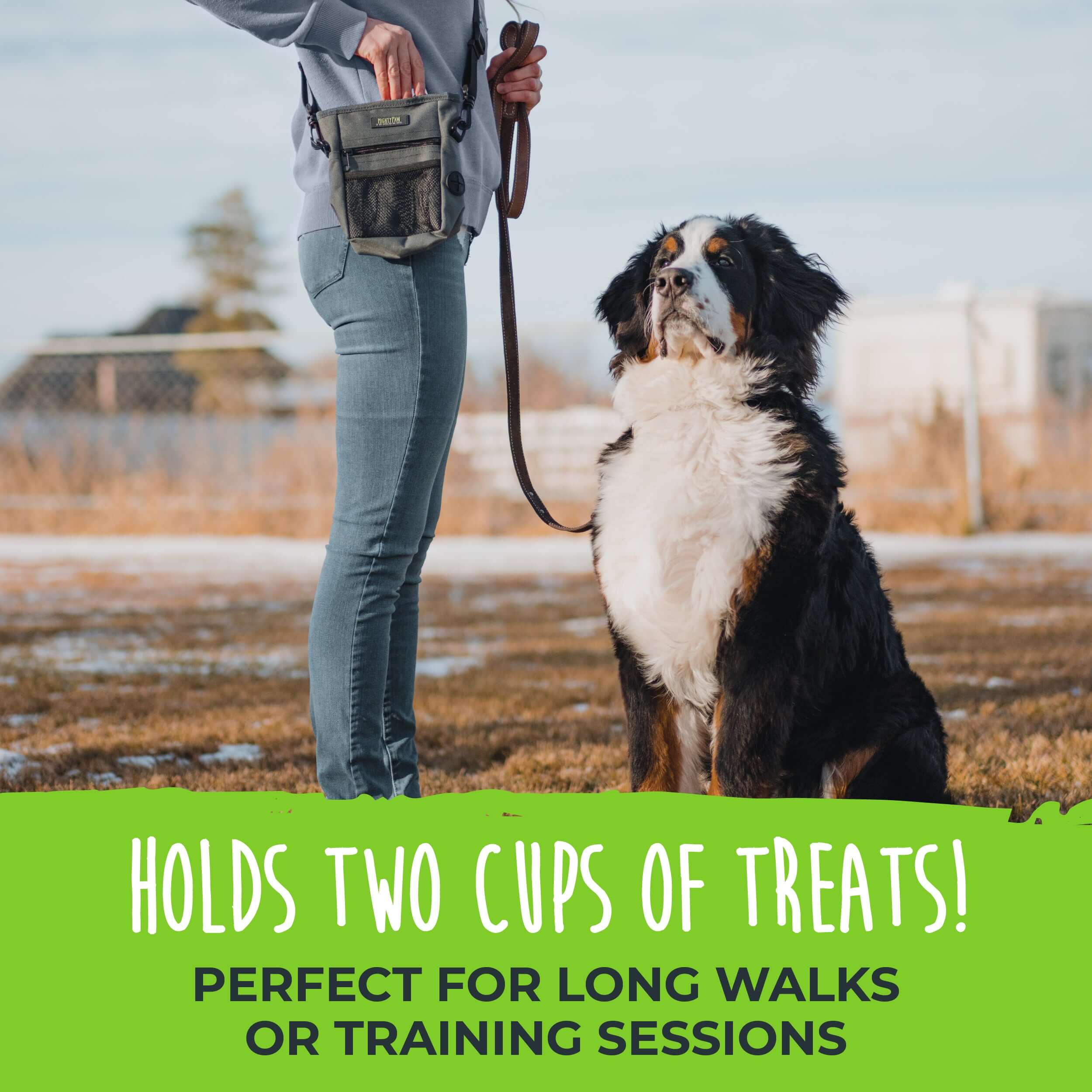 Dog treat 2024 holder for walks