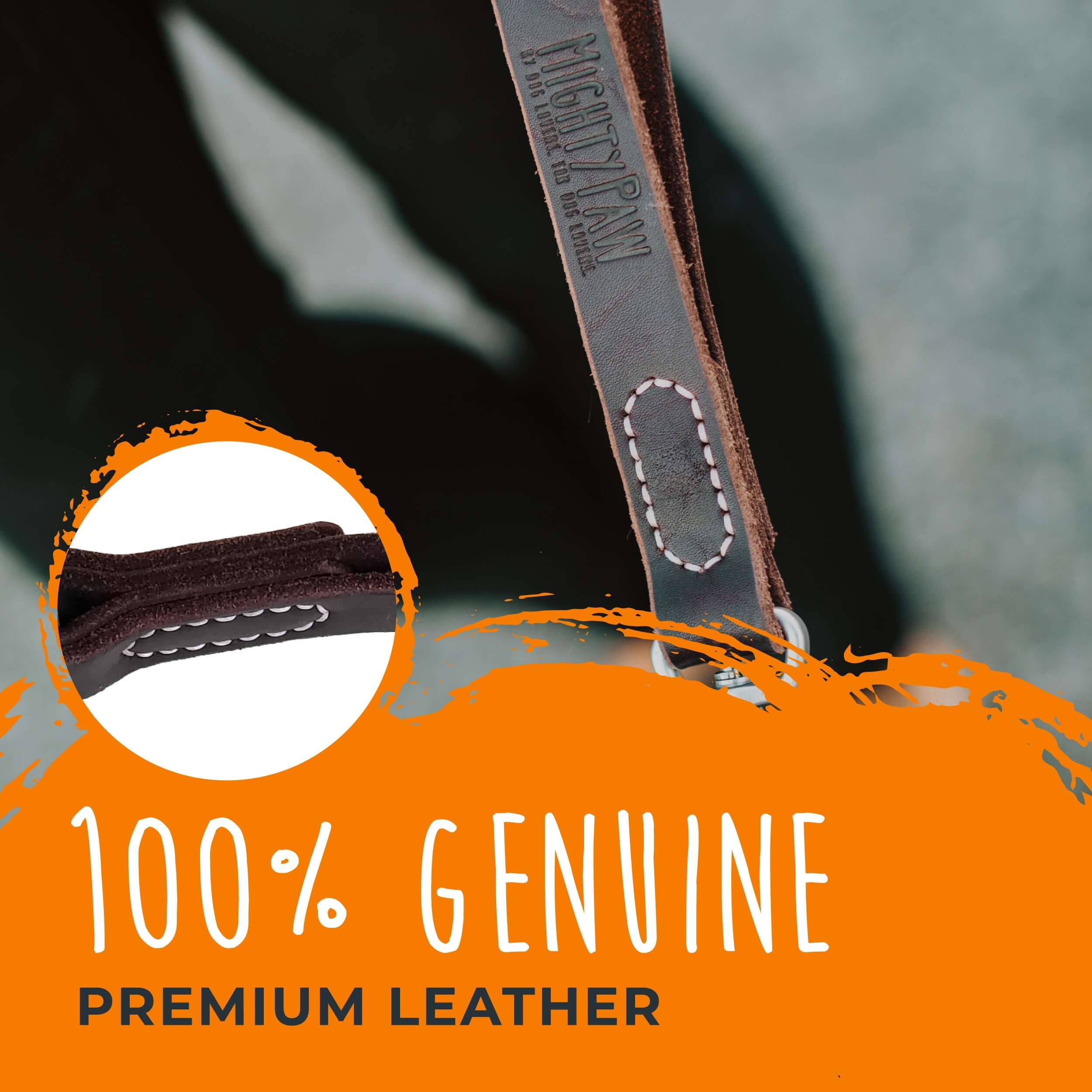 Mighty paw best sale leather leash