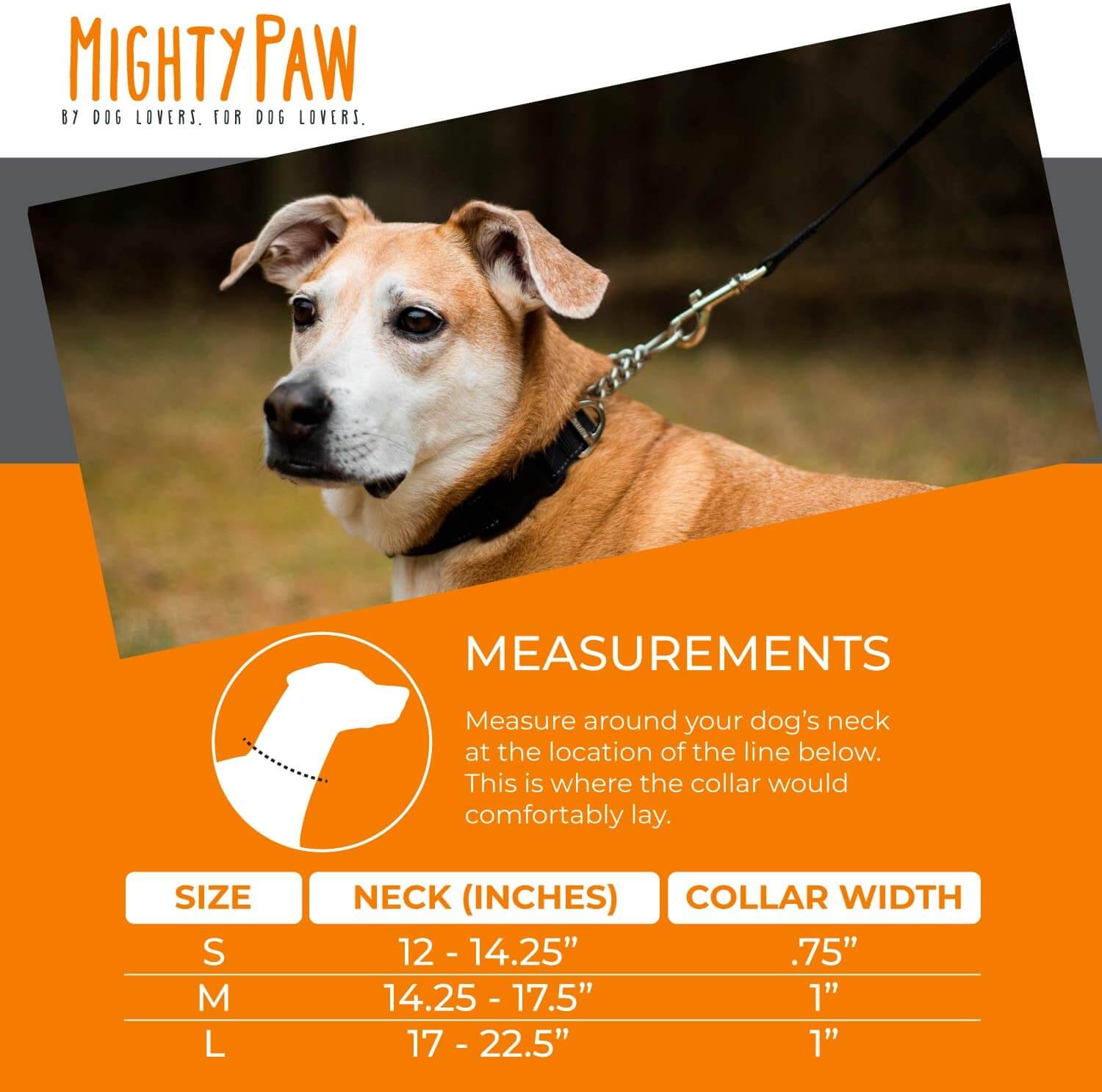 Top paw collar sales sizes