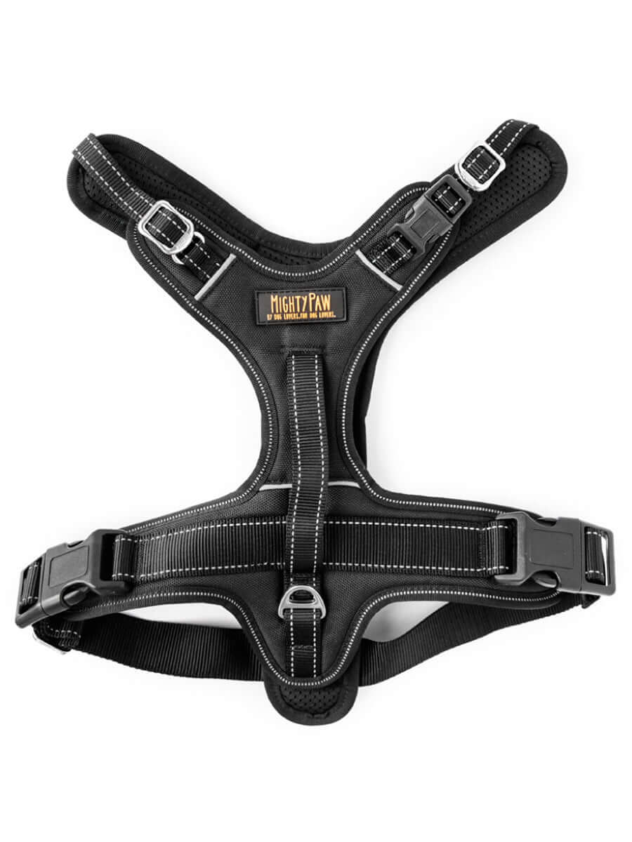 Sport Dog Harness 2.0 With Neck Buckle