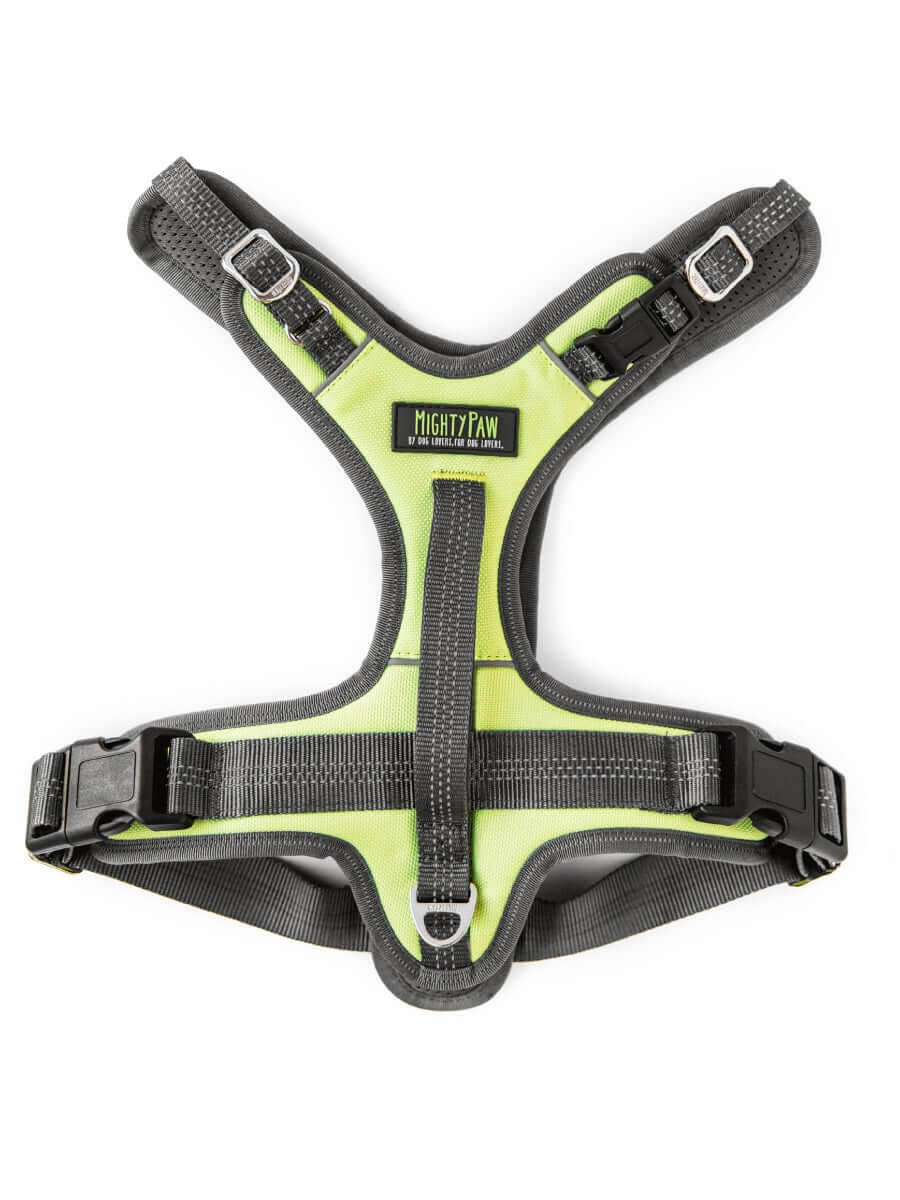 Mighty paw 2025 sport harness