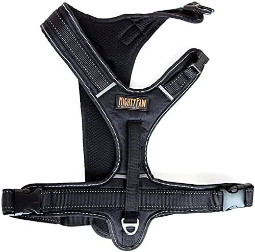 Sport Dog Harness With Neck Buckle