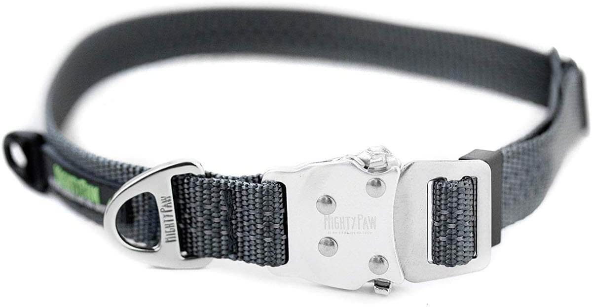 All-Metal Hardware Dog Collar