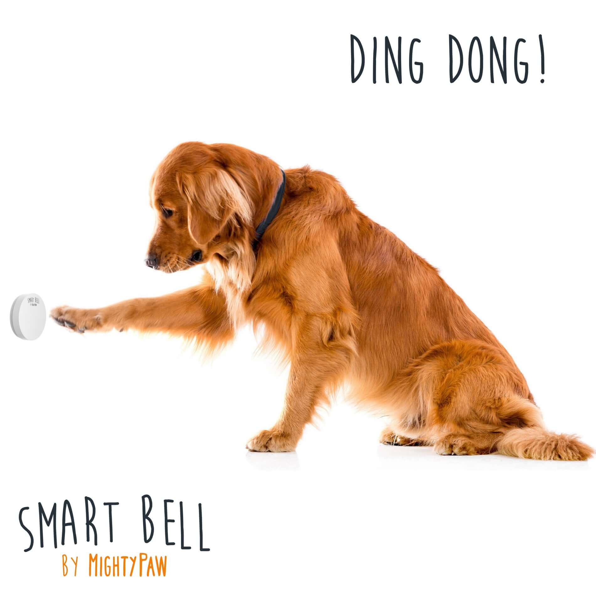 Dog Potty Smart Bell 2.0 Mighty Paw Dog Products