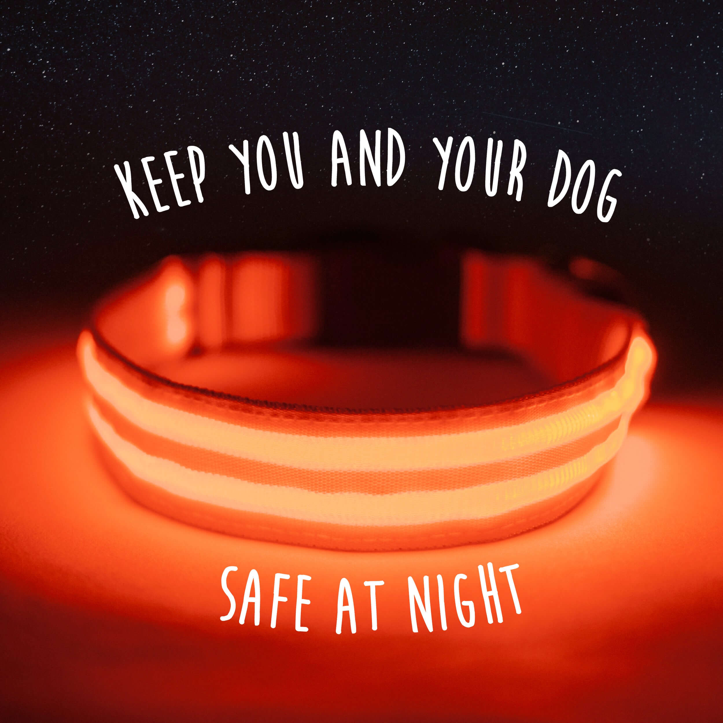 LED Dog Collar