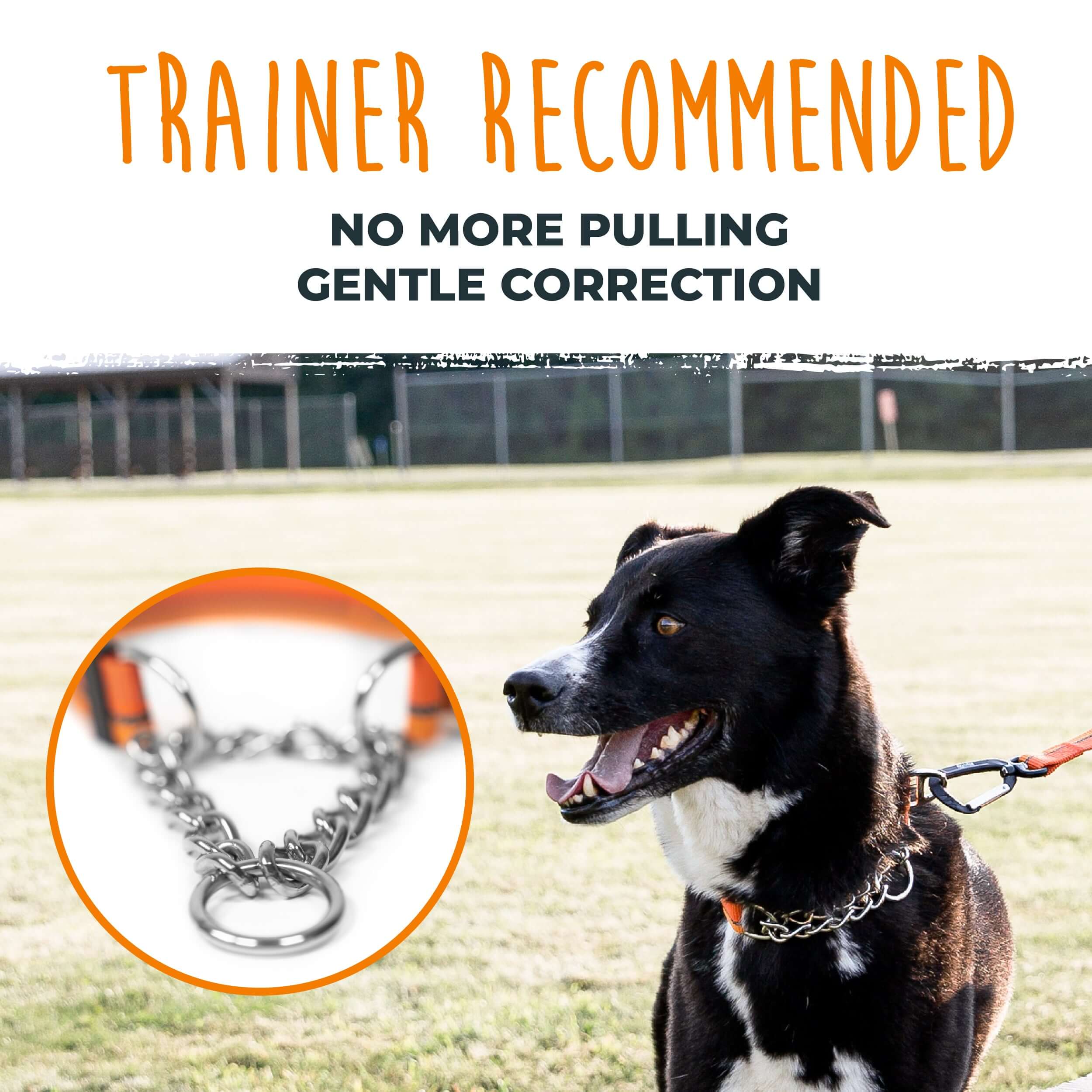 Martingale Dog Training Collar 2.0 - Gentle Yet Effective