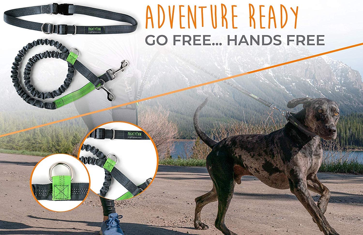Mighty Paw Hands-Free Bungee Leash Set for Active Dog Owners