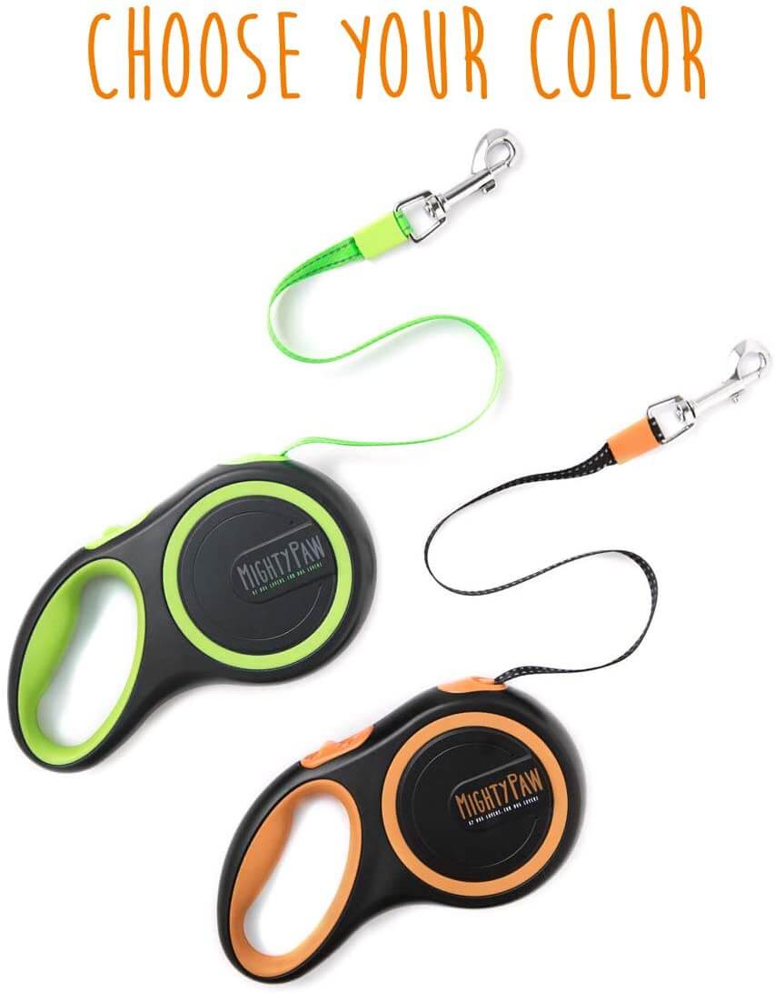 Retractable Leash