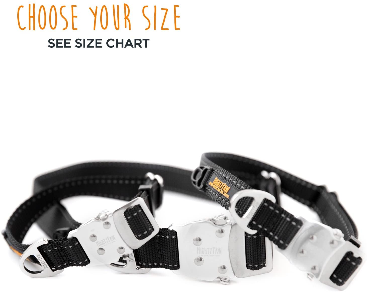 Top Rope™ Dog Collar  Metal Buckle & Strong Comfortable Webbing