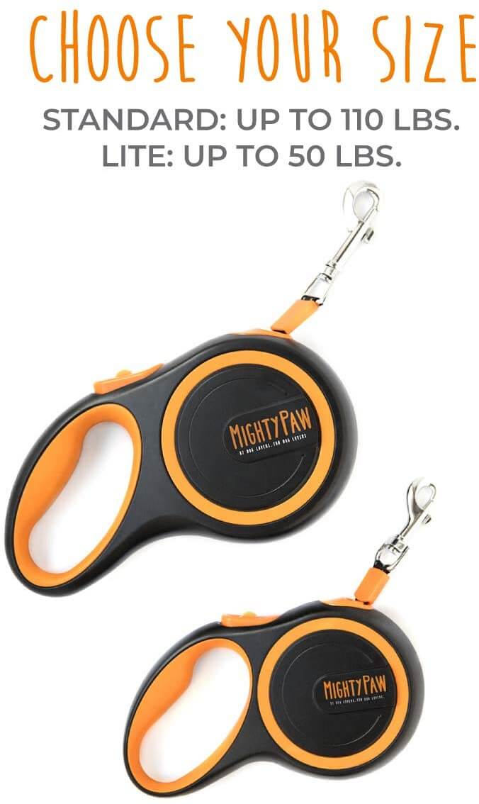 Retractable Leash