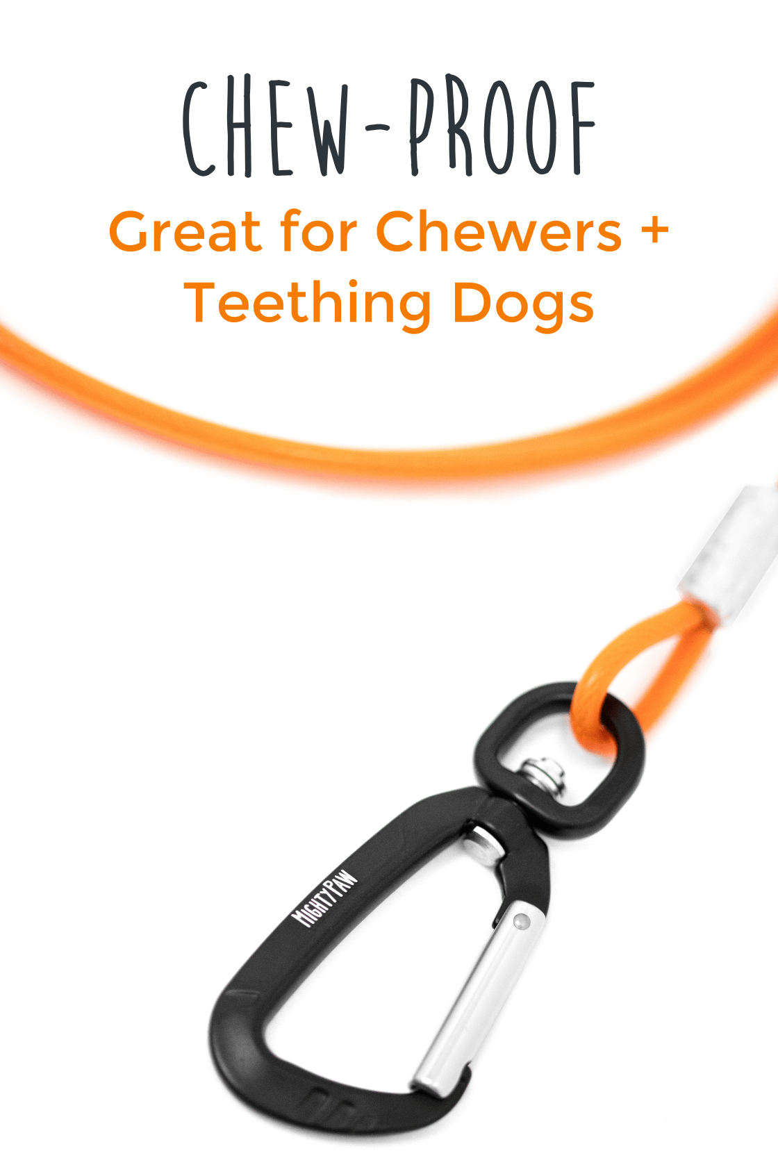 6' Chew Proof Cable Leash