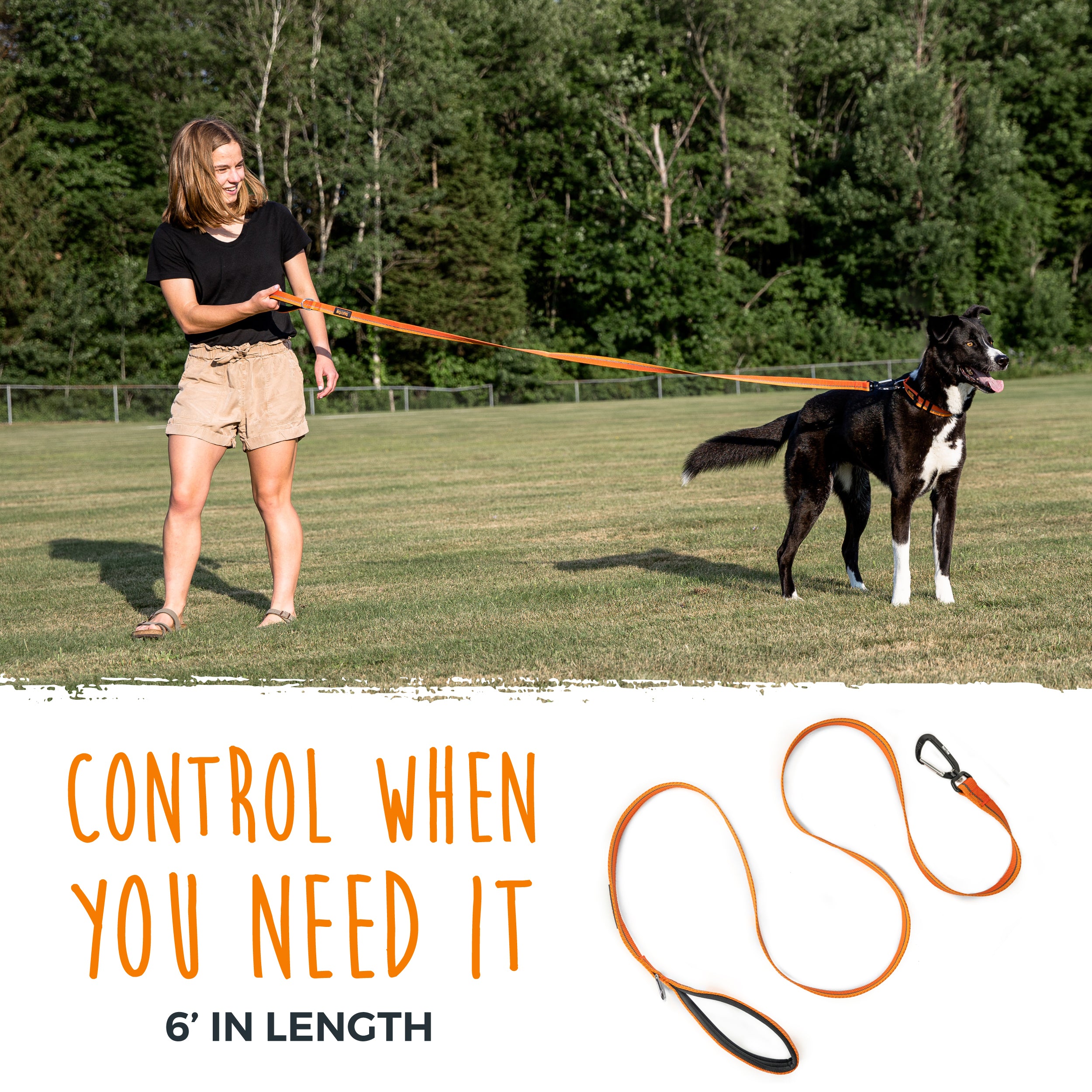 Reflective Standard Dog Leash