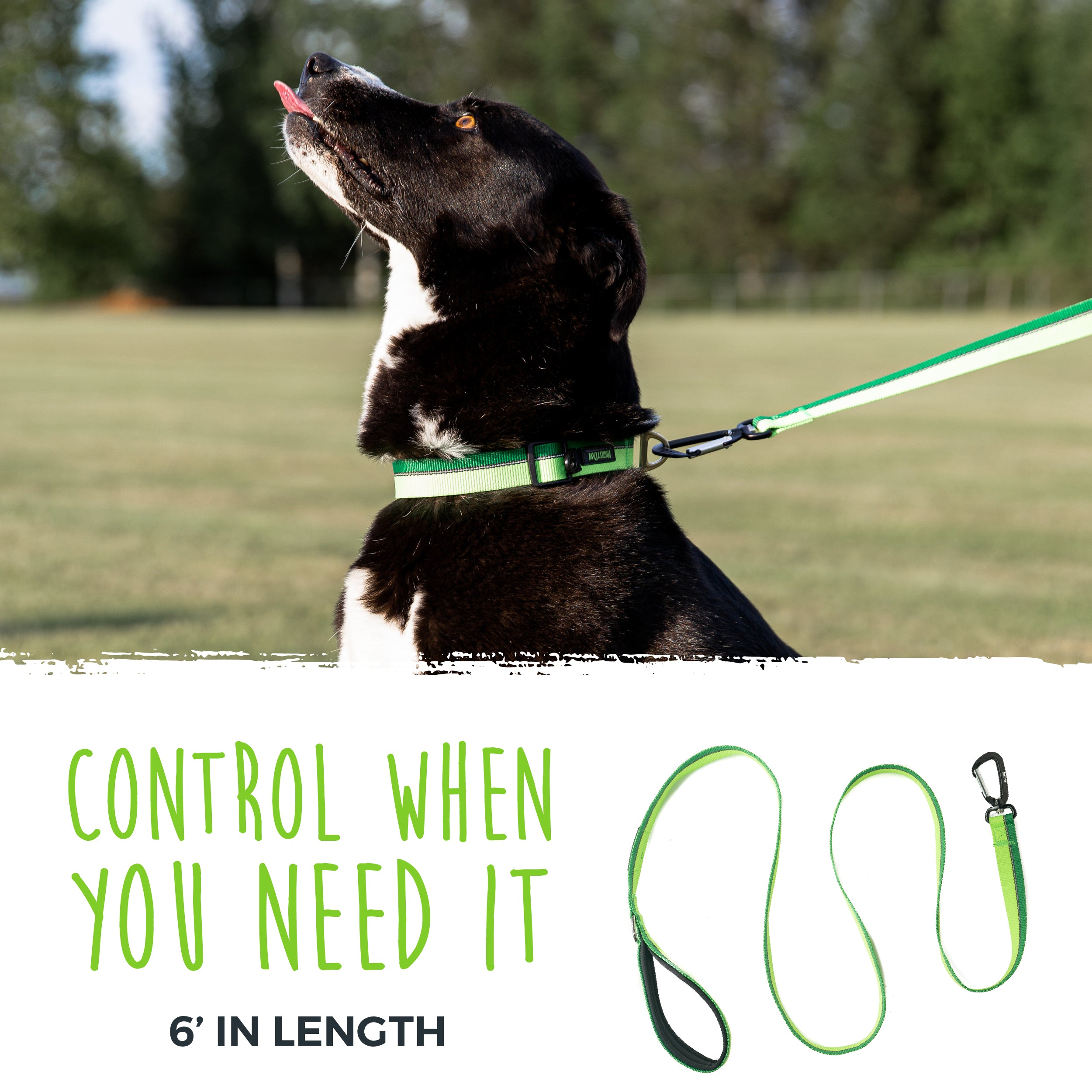 Reflective Standard Dog Leash