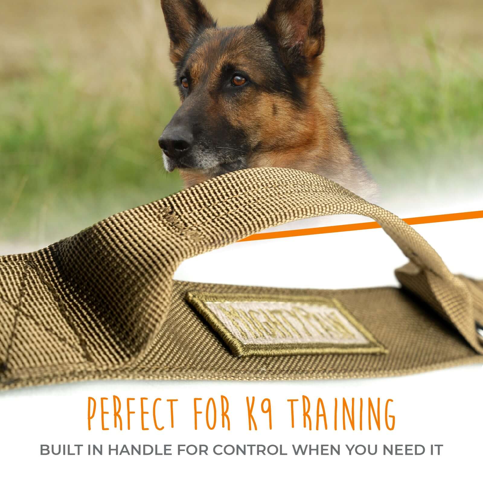 Tactical Dog Collar