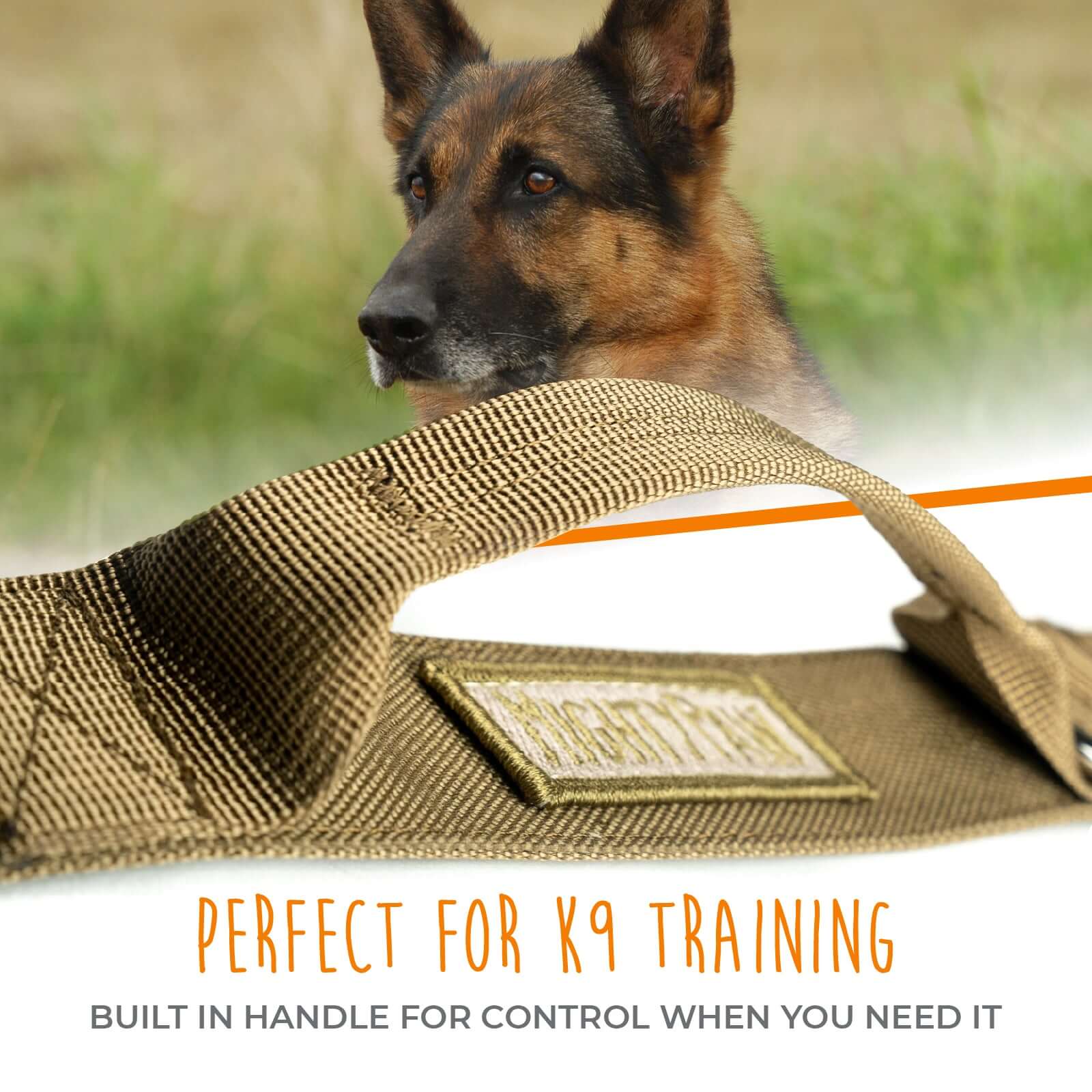 Tactical Dog Collar - Heavy-Duty Control Handle & Tactical Buckle
