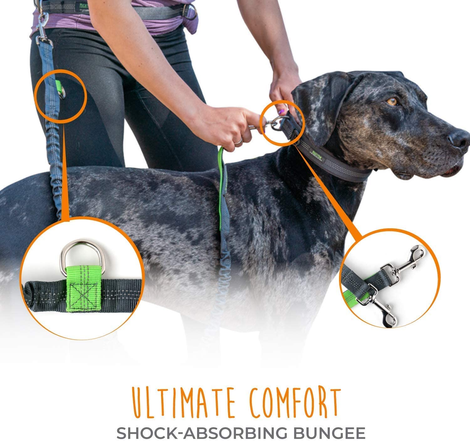 Hands Free Bungee Leash Set