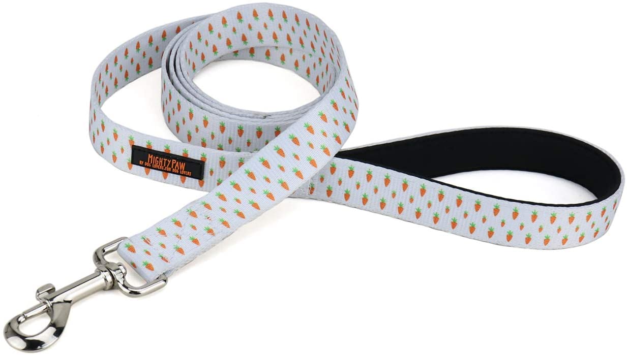 Easter Dog Leash