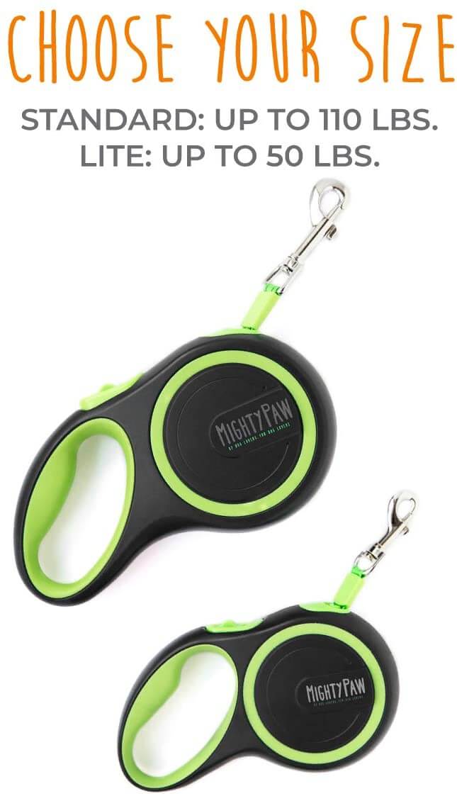 Retractable Leash