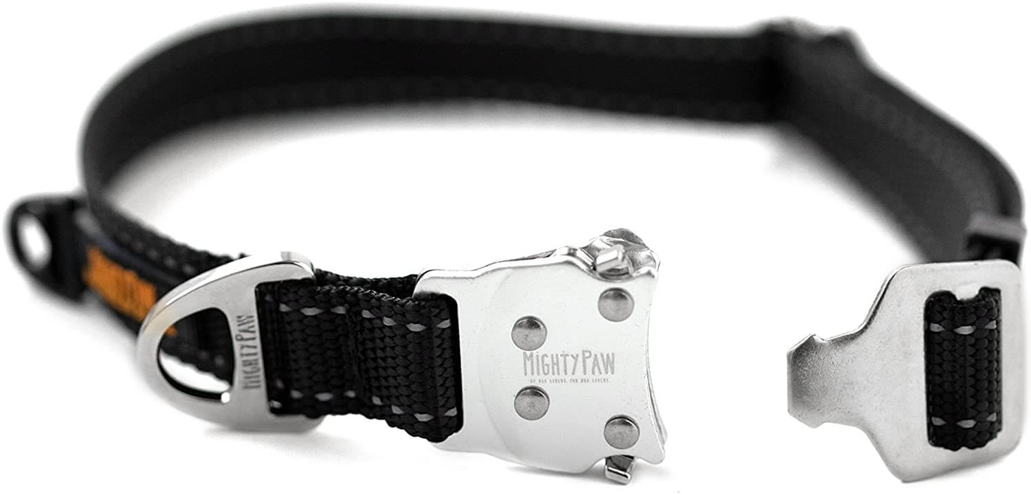 All-Metal Hardware Dog Collar