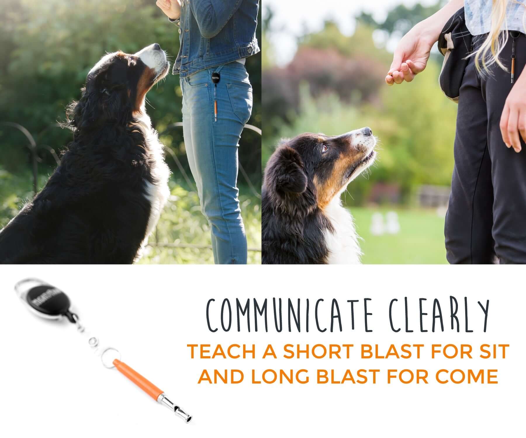 Dog Training Whistle