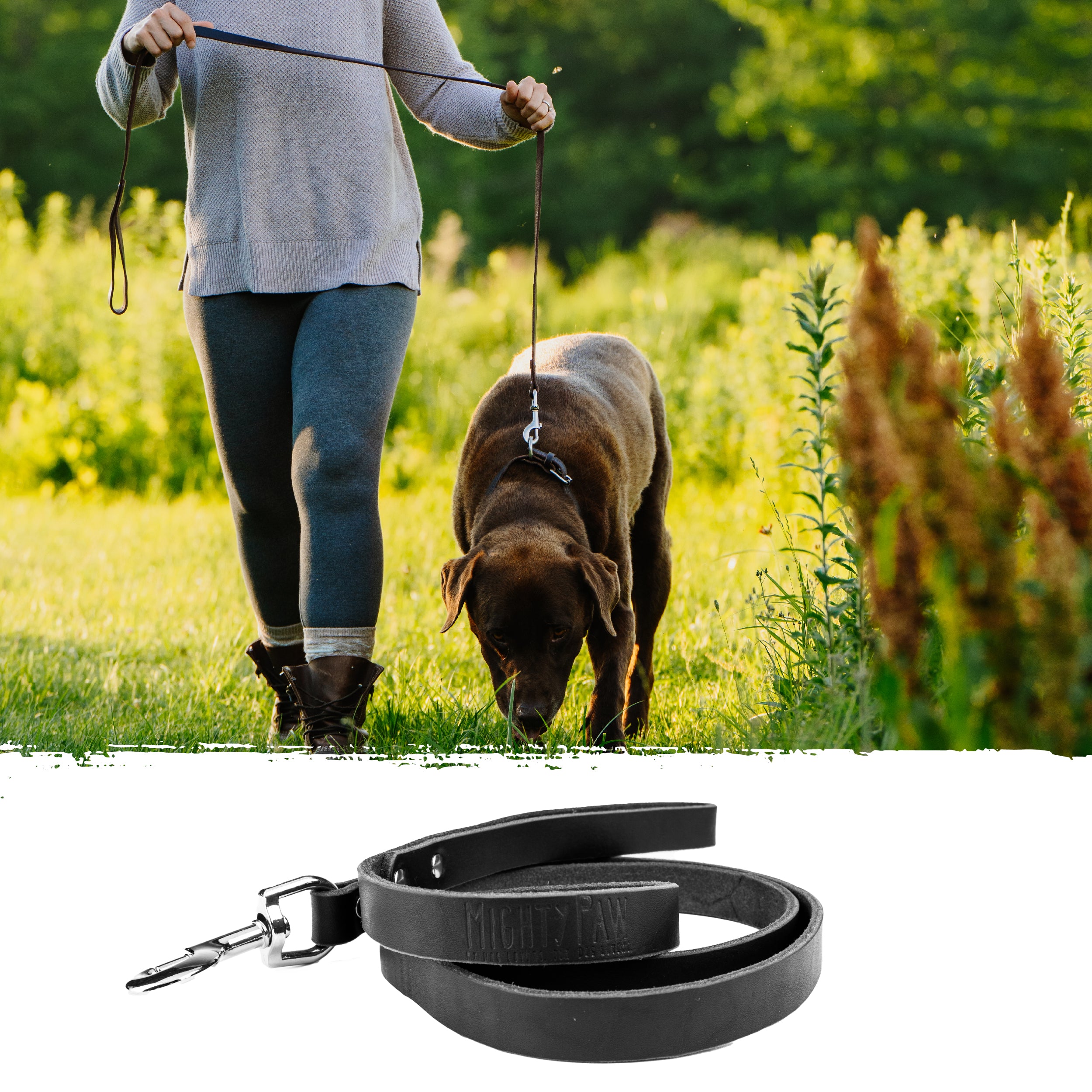 Best dog clearance leash with flashlight