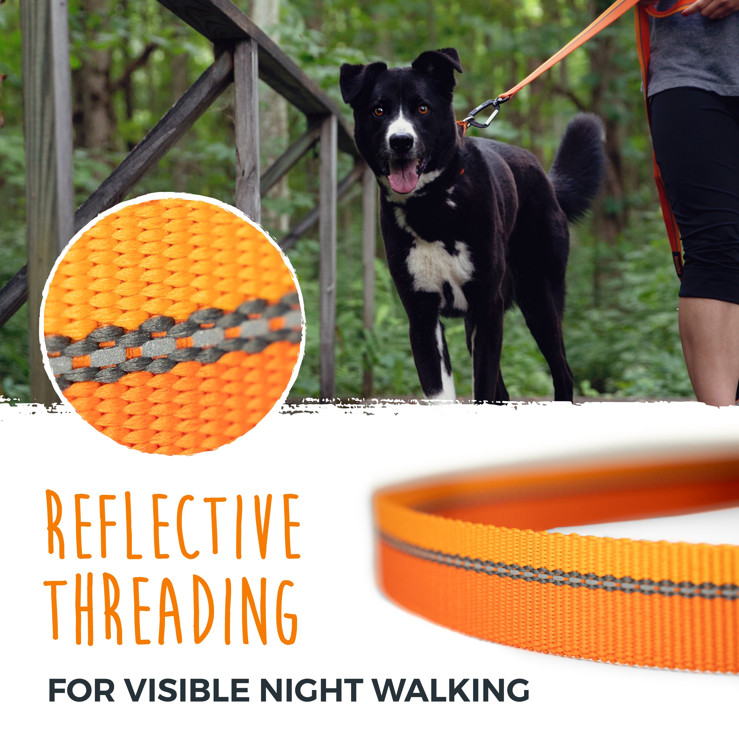 Reflective Standard Dog Leash