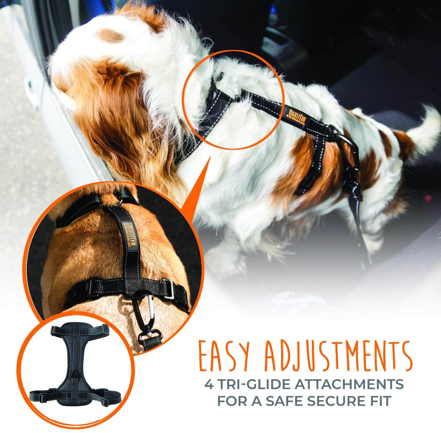 Adjustable Safety Harness for Dogs of All Sizes