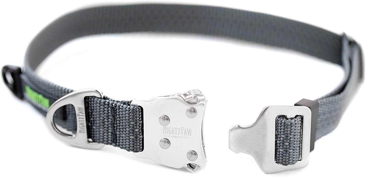 All-Metal Hardware Dog Collar