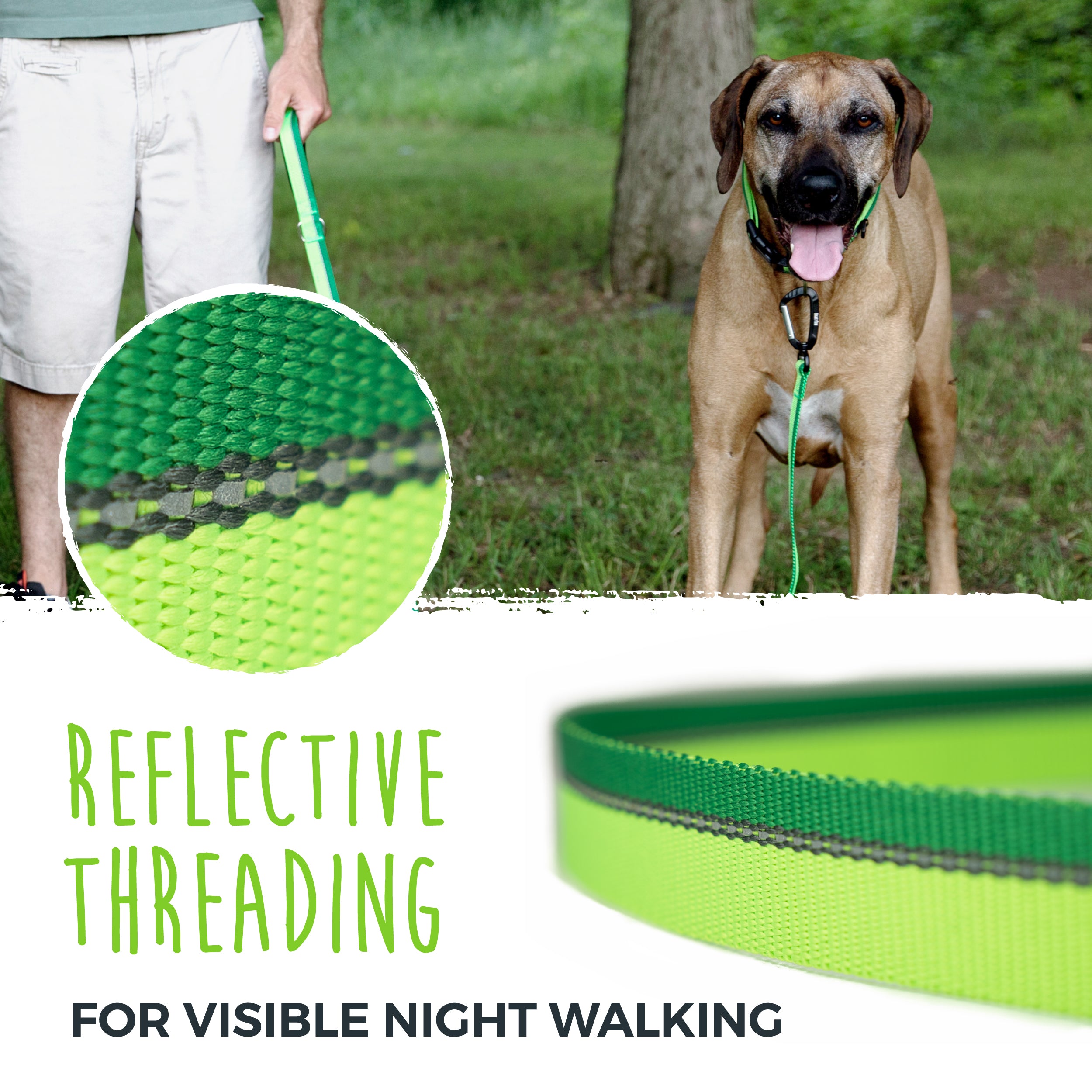 Reflective Standard Dog Leash