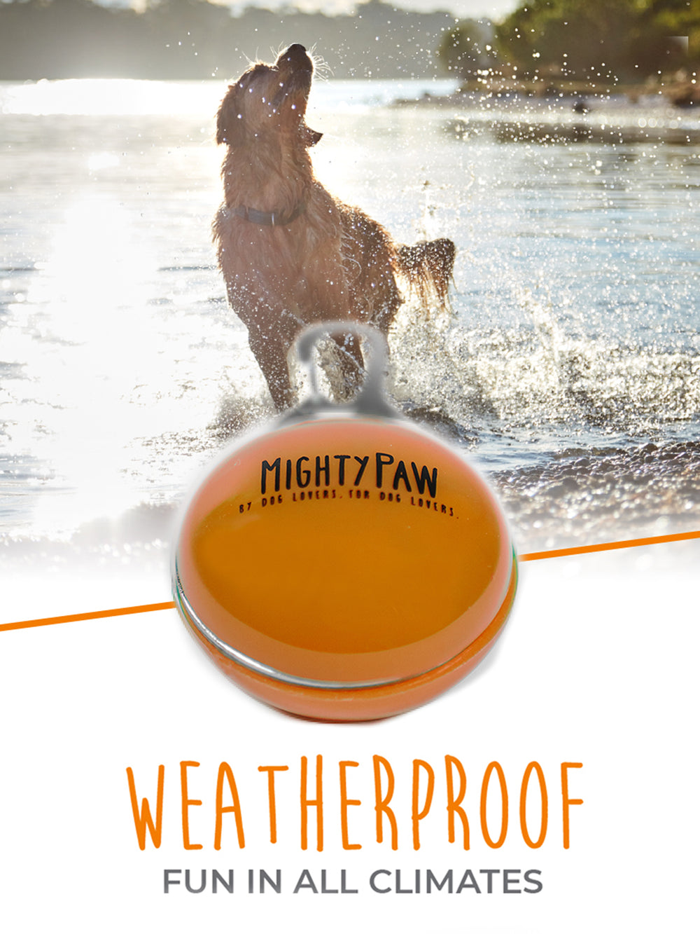 Illuminate Nighttime Walks with Mighty Paw LED Dog Safety Lights